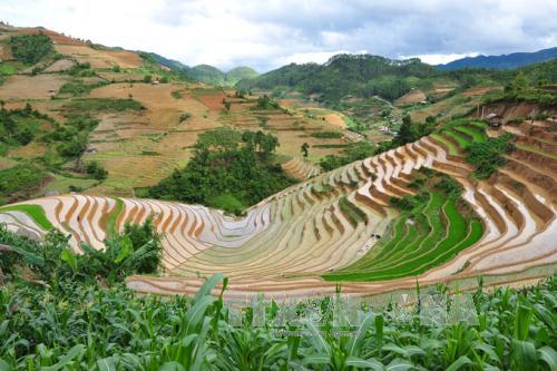  Khai mạc Tuần văn hóa Ruộng bậc thang Mù Cang Chải ảnh 1